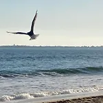 A 300m De La Plage, Parc, Piscine, Terrasse