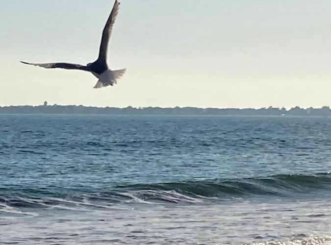 A 300m De La Plage, Parc, Piscine, Terrasse