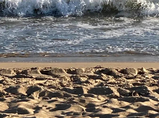 Apartment A 300m De La Plage, Parc, Piscine, Terrasse